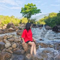 shwesin8520