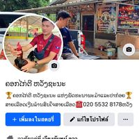 wang77787