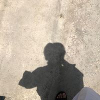 alryan._1
