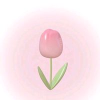 suara asli - pillOow_s