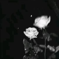 xcami21xz