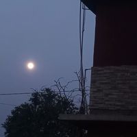 stellagamer_