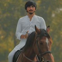 malikmadi8011