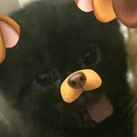 fedii_1721