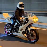 hornet250.1.203