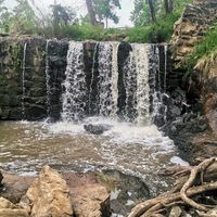 sebolelo_gogneuwe