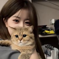 jingyi_011
