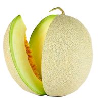 bitter.gourd98