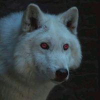 gameofthronesed