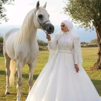 shams6858
