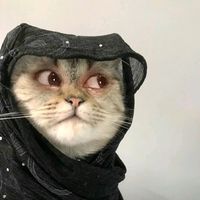 laiba_nadeem_06