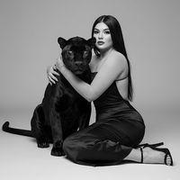dk_mdl28