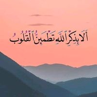 abo.mazen2817