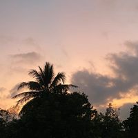 nhạc nền - NgàymaiiHếtBùnnn🐻🐻