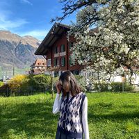 anineurope