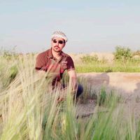 الصوت الأصلي