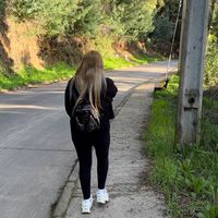 ale_sl32