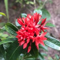 เสียงต้นฉบับ - พักพิง อิงใจ🍃