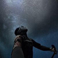 original sound - divemon_moalboal