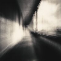 r_ww6