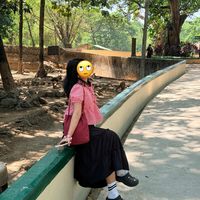 lyrayrdie