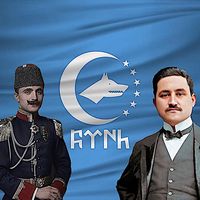 orijinal ses