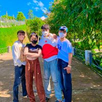 nhạc nền - điểu bất tử