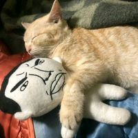 оригинальный звук