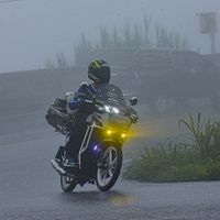 puen_nn