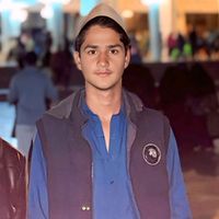 mohsin_tiger_313