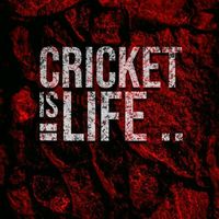 abcricketer00