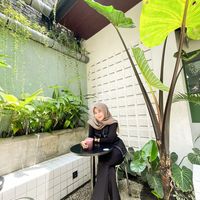 suara asli - Panda Gemoy🐼