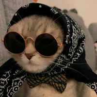 original sound - rose.patel_137