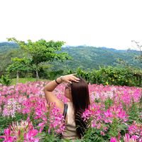 jhyan_agtn