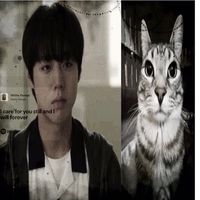 original sound - KangDaeHo