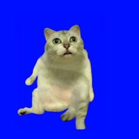 オリジナル楽曲 - ゲェ〜