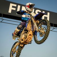 khaledalfayez199