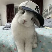 ขอโทษ
