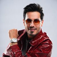 الصوت الأصلي