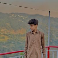 zakria.abbasi82