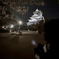 男は度胸で女は愛嬌