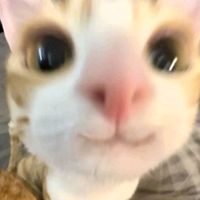 user52366803141328
