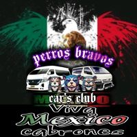 perros_bravos_cars_club