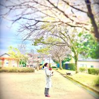 elf.kaminocota03