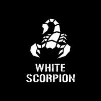 オリジナル楽曲 - WHITE SCORPION