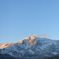 mertsnow09