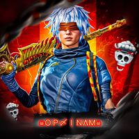 opinam0.1