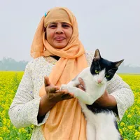 original sound - pongkhu4413