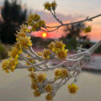 mindlove68