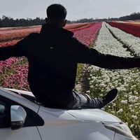 الصوت الأصلي